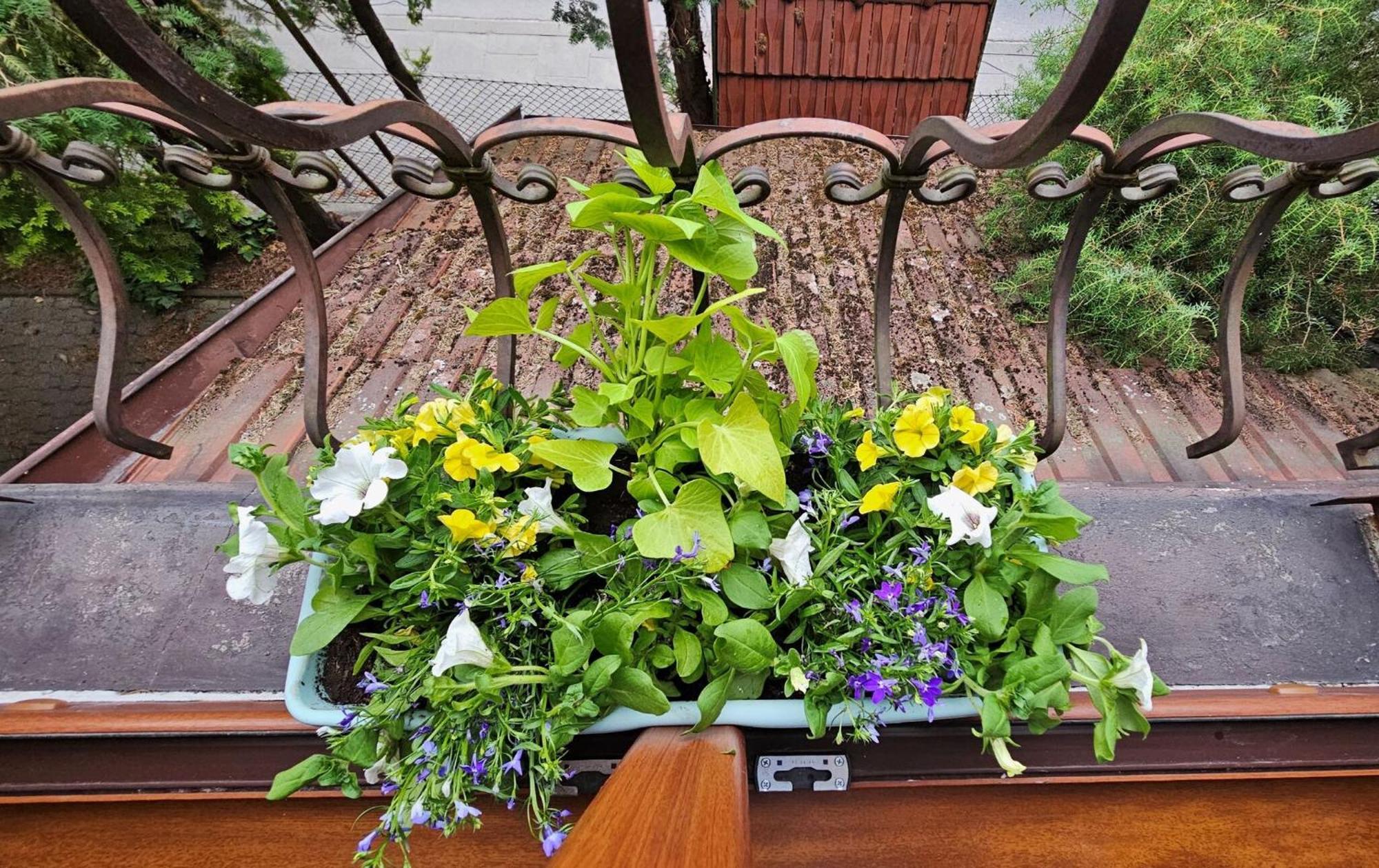 Park Apartment 克拉科夫 外观 照片