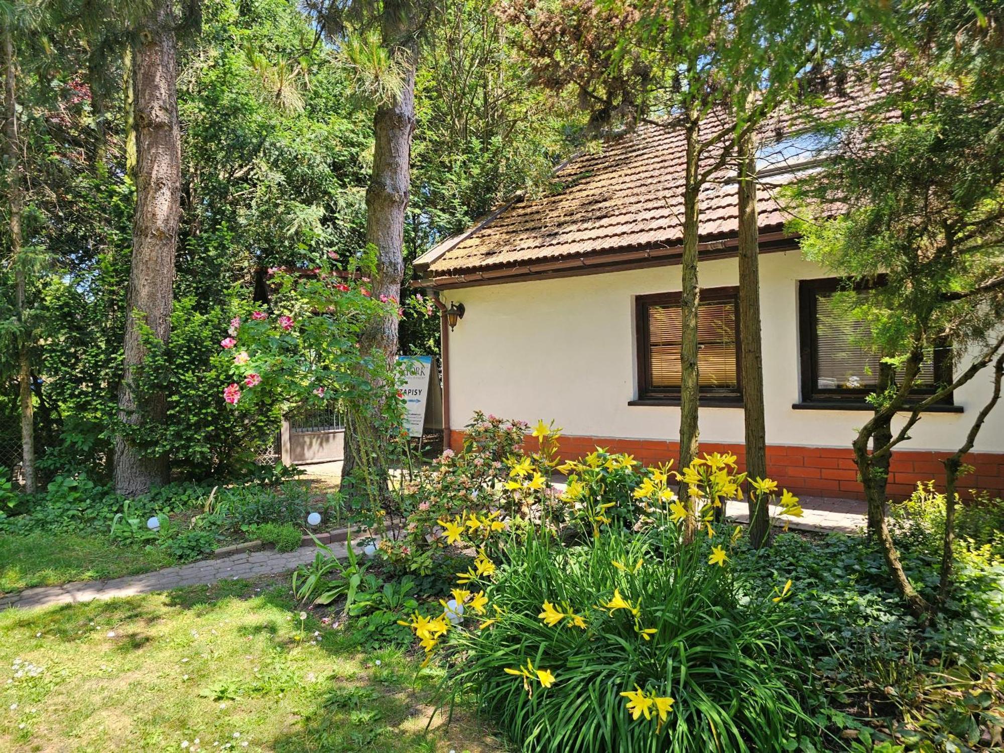 Park Apartment 克拉科夫 外观 照片