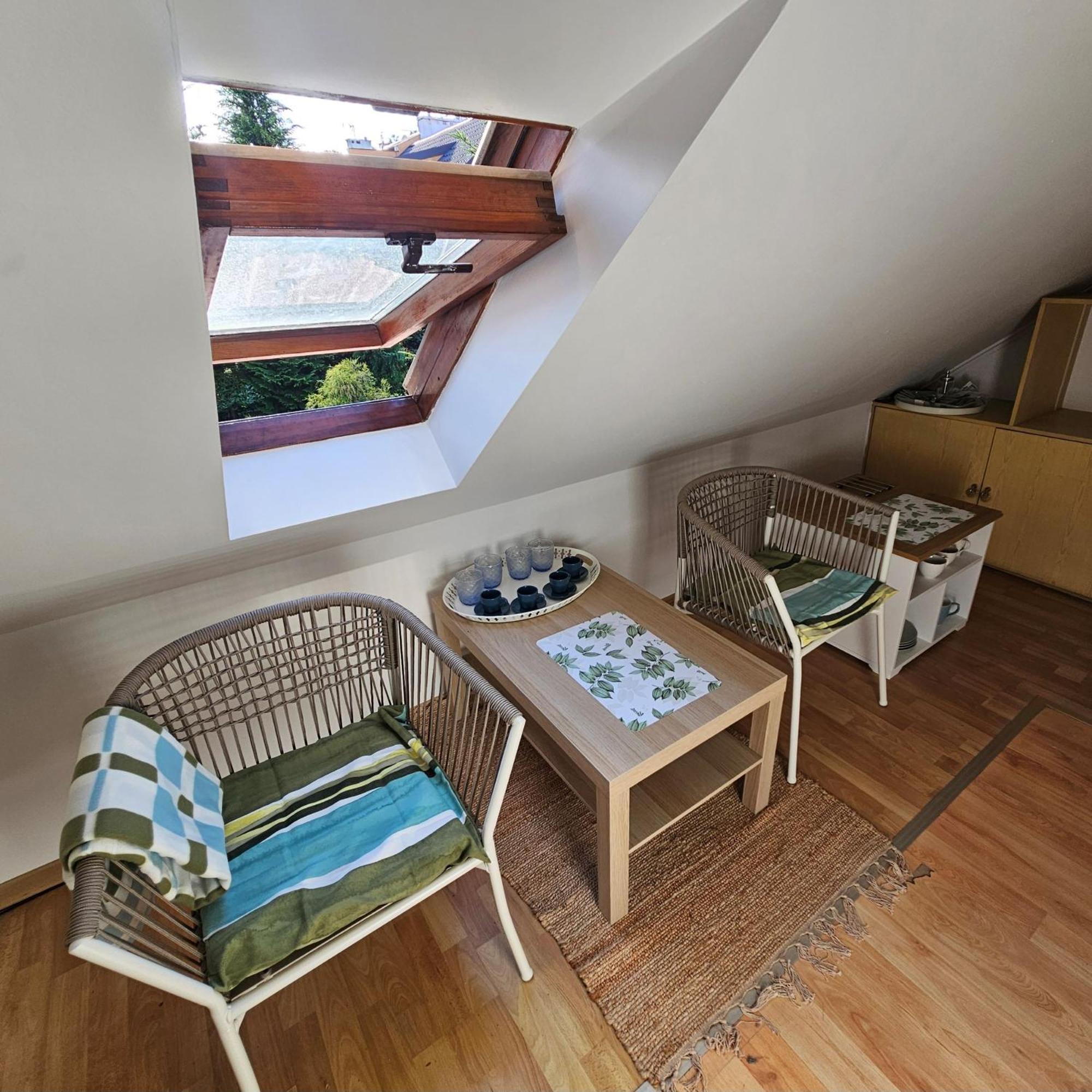 Park Apartment 克拉科夫 外观 照片