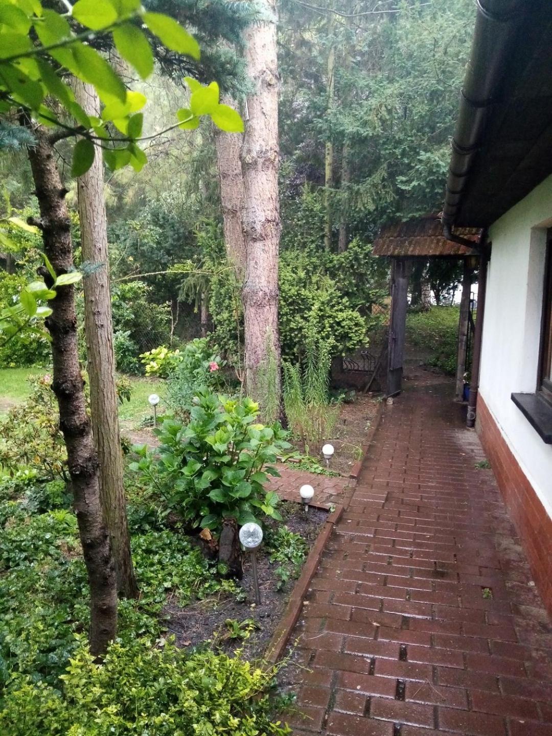 Park Apartment 克拉科夫 外观 照片